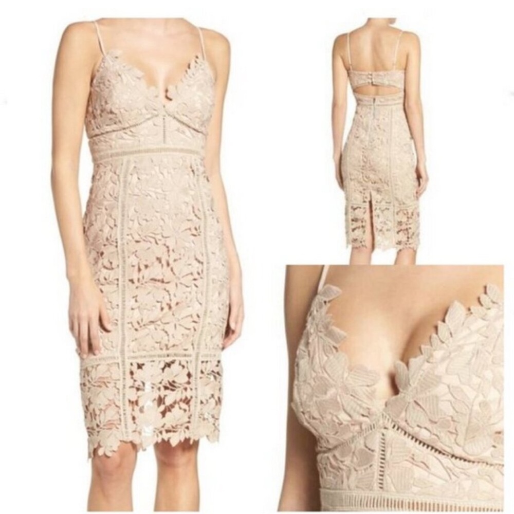 Bardot Botanica Lace Midi Dress Size 8 Nude Beige Floral Overlay Ladder Lace - Picture 2 of 16
